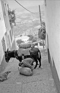 Kreta, 1976